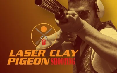 Laser Lerdueskydning