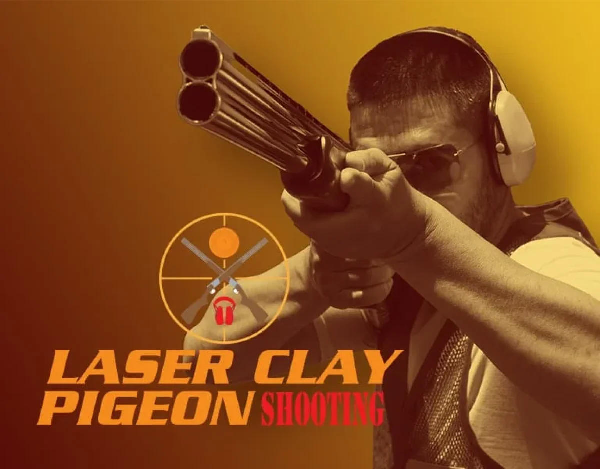 Laser Lerdueskydning