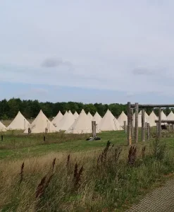 Festival med teambuilding