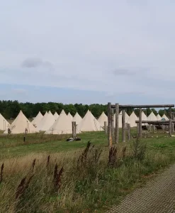 Festival med teambuilding