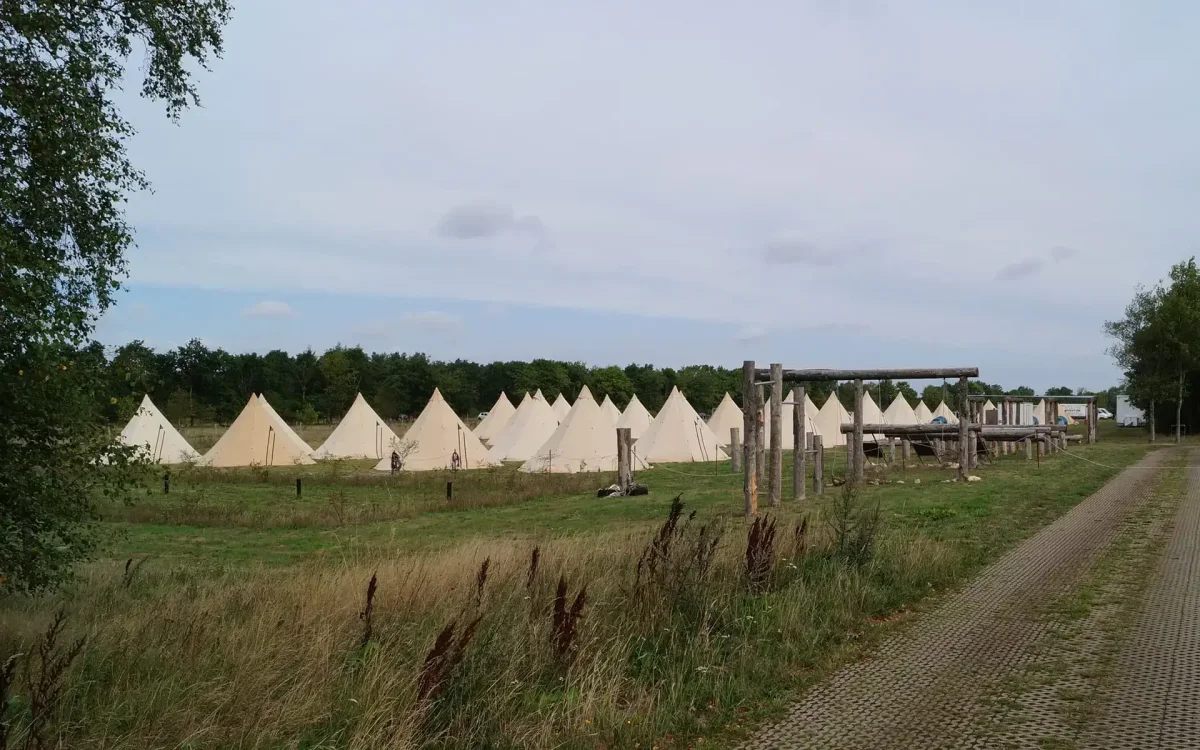 Festival med teambuilding