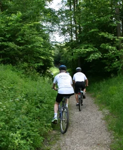 t4R4e7Cd-mountainbike-cykling-skov-sti.webp