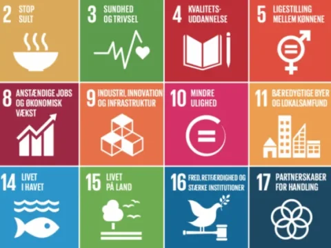 verdensmaal-sustainability-spil.webp