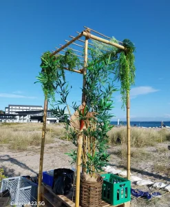Tropisk dekoration til Expedition Robinson med kunstige planter, bambusstativ og rekvisitter på stranden under blå himmel.